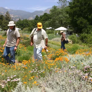 BioBlitz, Meaow, visitors