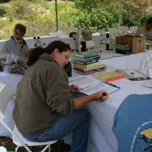 BioBlitz,Scientists Station