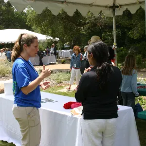 BioBlitz, Craft Tables