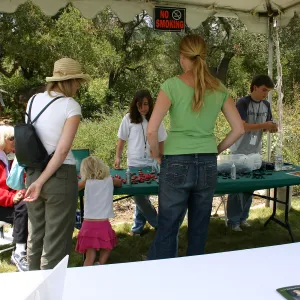 BioBlitz, Craft Table