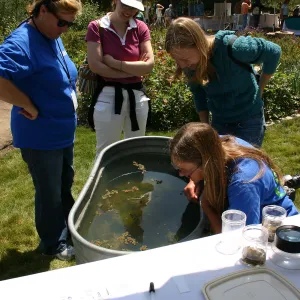BioBlitz, aquatic life display
