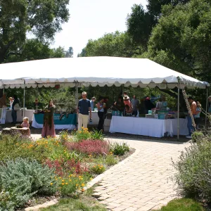 BioBlitz, Stations