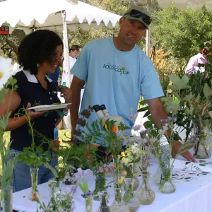 BioBlitz, wildflower display