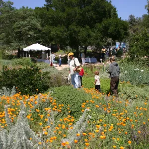BioBlitz, Visitors