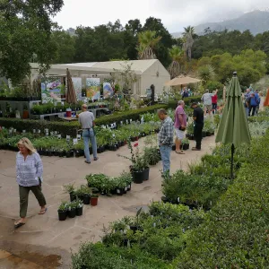 Fall Plant Sale 2018 Preview Party