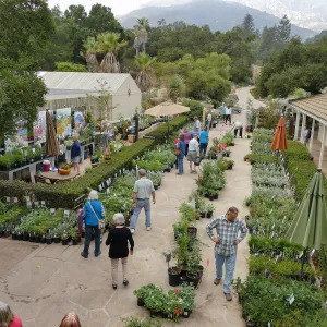 Fall Plant Sale 2018 Preview Party