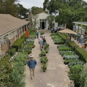 Fall Plant Sale 2018 Preview Party