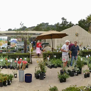 Fall Plant Sale 2018 Preview Party