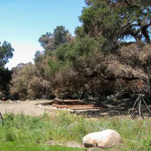 Redwood logs from Restoration Forest Project at Meadow Terrace