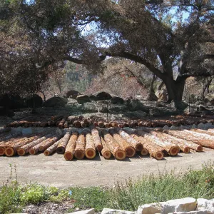 Construction of Herb Parker's â€˜Haven' labyrinth, Redwood logs from Restoration Forest Project at Meadow Terrace