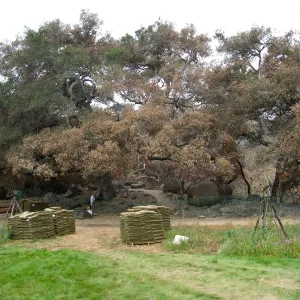 Construction of Herb Parker's â€˜Haven' labyrinth, sod for roof