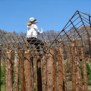 Construction of Herb Parker's â€˜Haven' labyrinth, Lisa Bogart at work