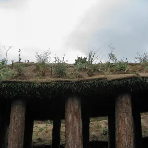 Herb Parker's â€˜Haven' labyrinth
