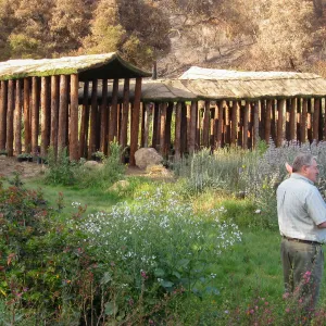 Herb Parker event in the Meadow, Ed Schneider