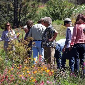 Sally Isaacson leading a class in the Garden