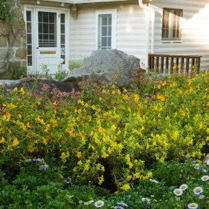 Water Wise Home Garden