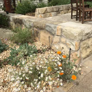 Water Wise Home Garden