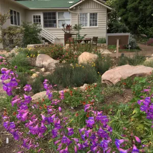 Water Wise Home Garden