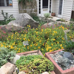 Water Wise Home Garden