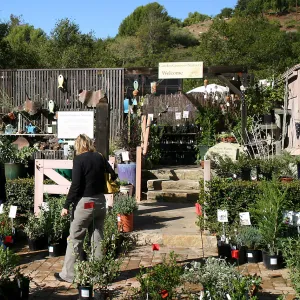 2007 Fall Plant Sale