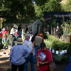 2007 Fall Plant Sale