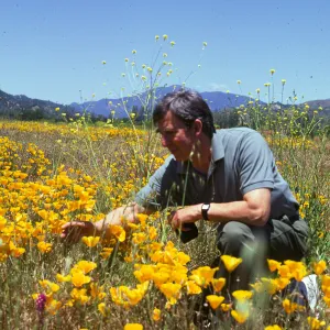 Patrick O 'Hara studying flowers