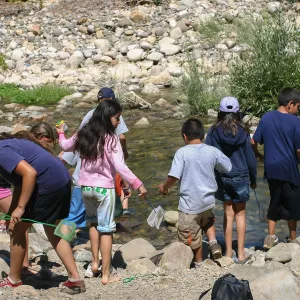 FamCamp 2005, Finding stream creatures