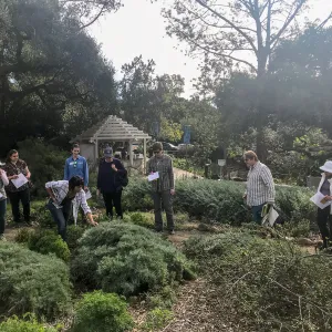 Herbal Medicine Walk: Respiratory System with Emily Sanders