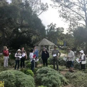 Herbal Medicine Walk: Respiratory System with Emily Sanders