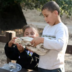FamCamp 2006