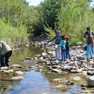 FamCamp 2008, Families at river