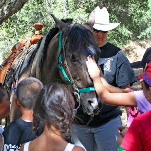 FamCamp 2008, Horse & kids