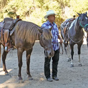 FamCamp 2008, Horses