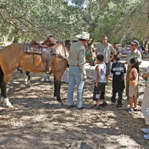 FamCamp 2008, Horses