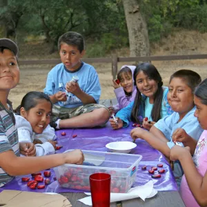 FamCamp 2008, Ladybugs