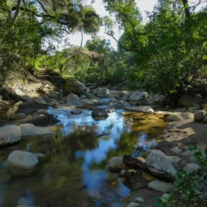 Lower Creek Crossing