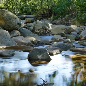 Lower Creek Crossing
