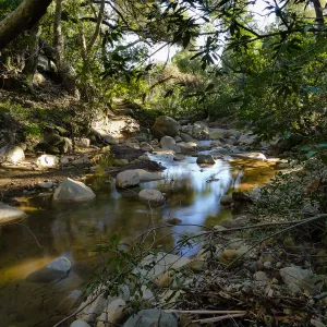 Lower Creek Crossing