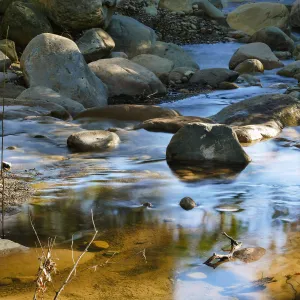 Lower Creek Crossing