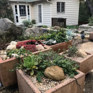 Container Gardens at Waterwise Home Garden