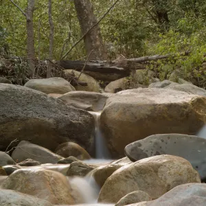 Water flowing over the rocks of the lower creek crossing. 