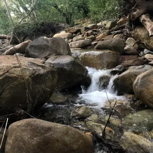 Mission Creek
