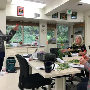 Botany Basics: Reproductive Structures class taught by Natalie Love