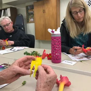 Botany Basics: Reproductive Structures class taught by Natalie Love