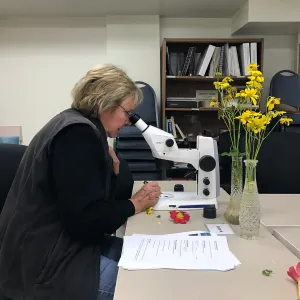 Botany Basics: Reproductive Structures class taught by Natalie Love