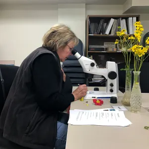 Botany Basics: Reproductive Structures class taught by Natalie Love
