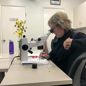 Botany Basics: Reproductive Structures class taught by Natalie Love