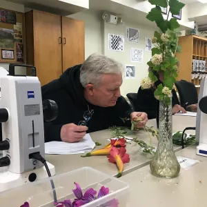 Botany Basics: Reproductive Structures class taught by Natalie Love