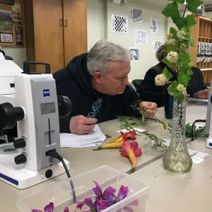 Botany Basics: Reproductive Structures class taught by Natalie Love