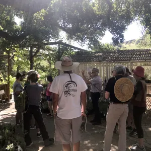 Designing with Water Wise Natives class taught by Billy Goodnick